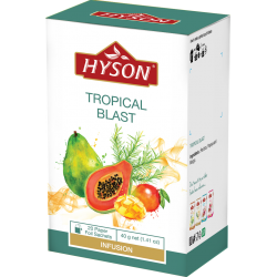 Hyson Herbata Smak Tropików 20 torebek